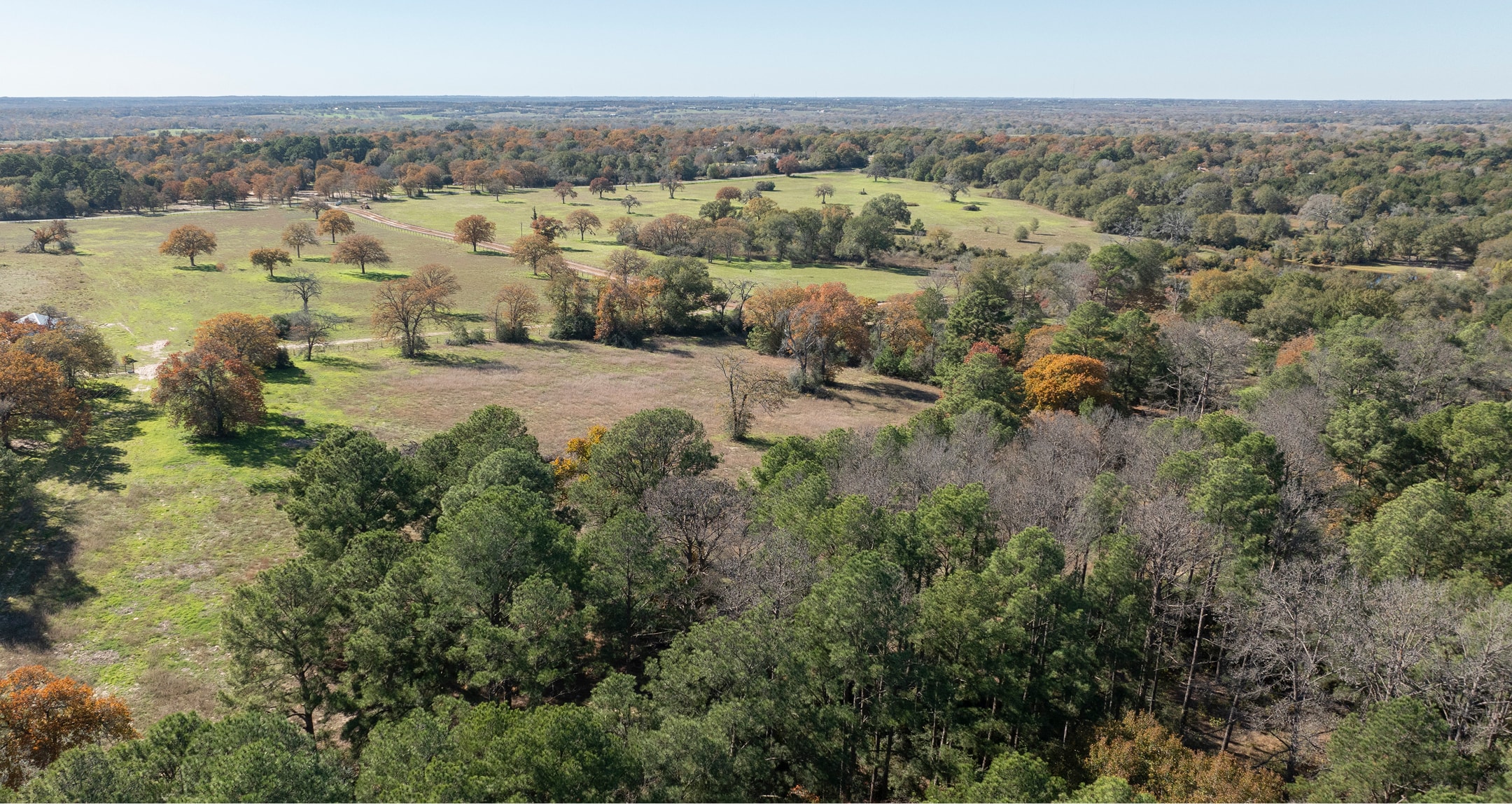 Aerial view of open fields and trees