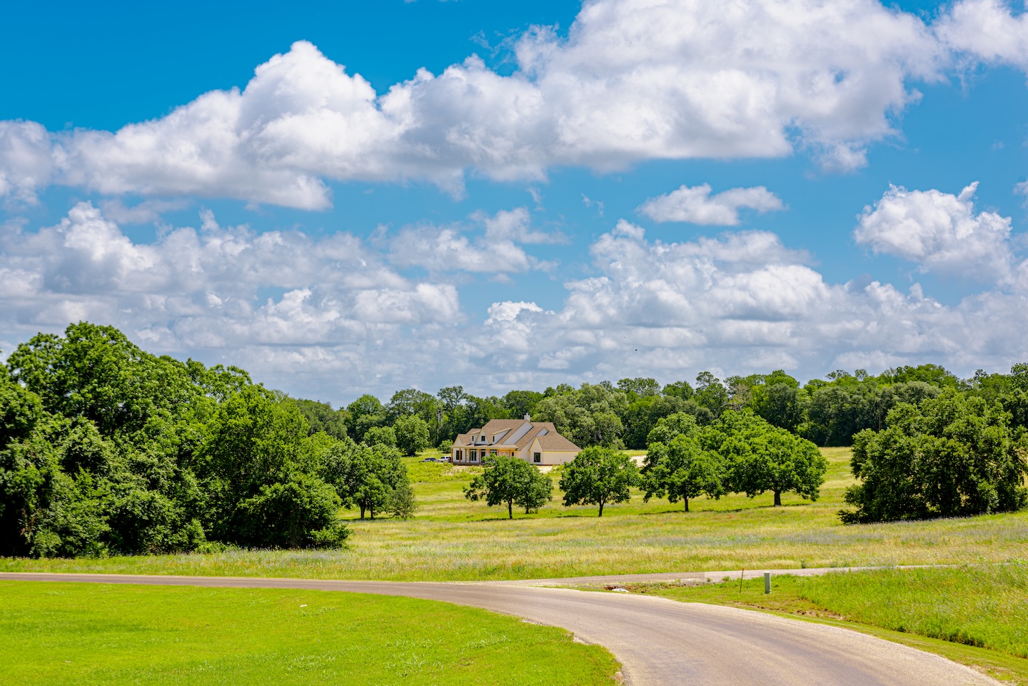 Country road and house in a green landscape