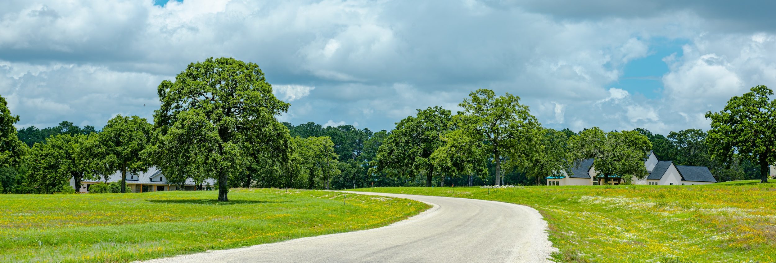 Curving road through a green countryside