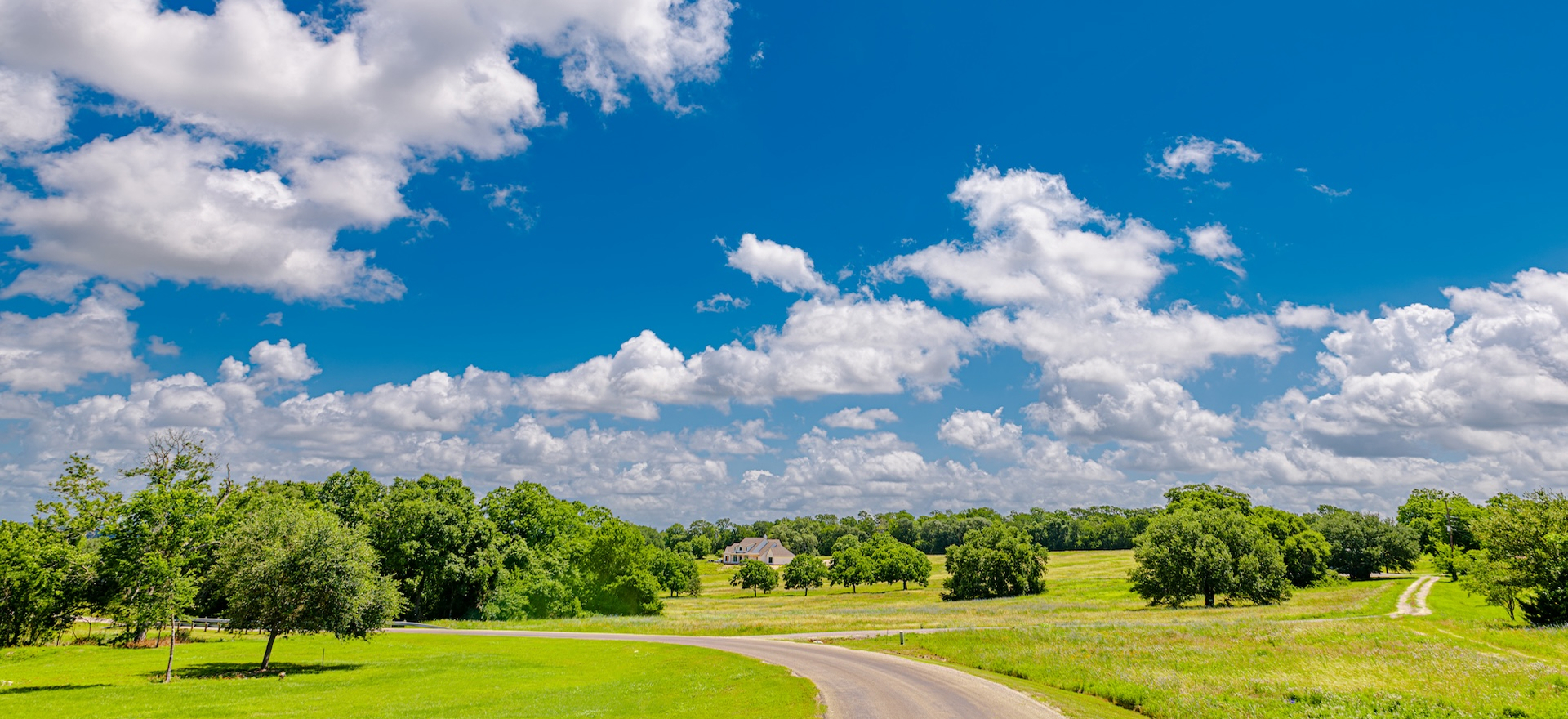 Country road through green fields